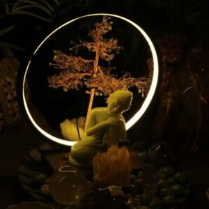 Spiritual Life Coaching